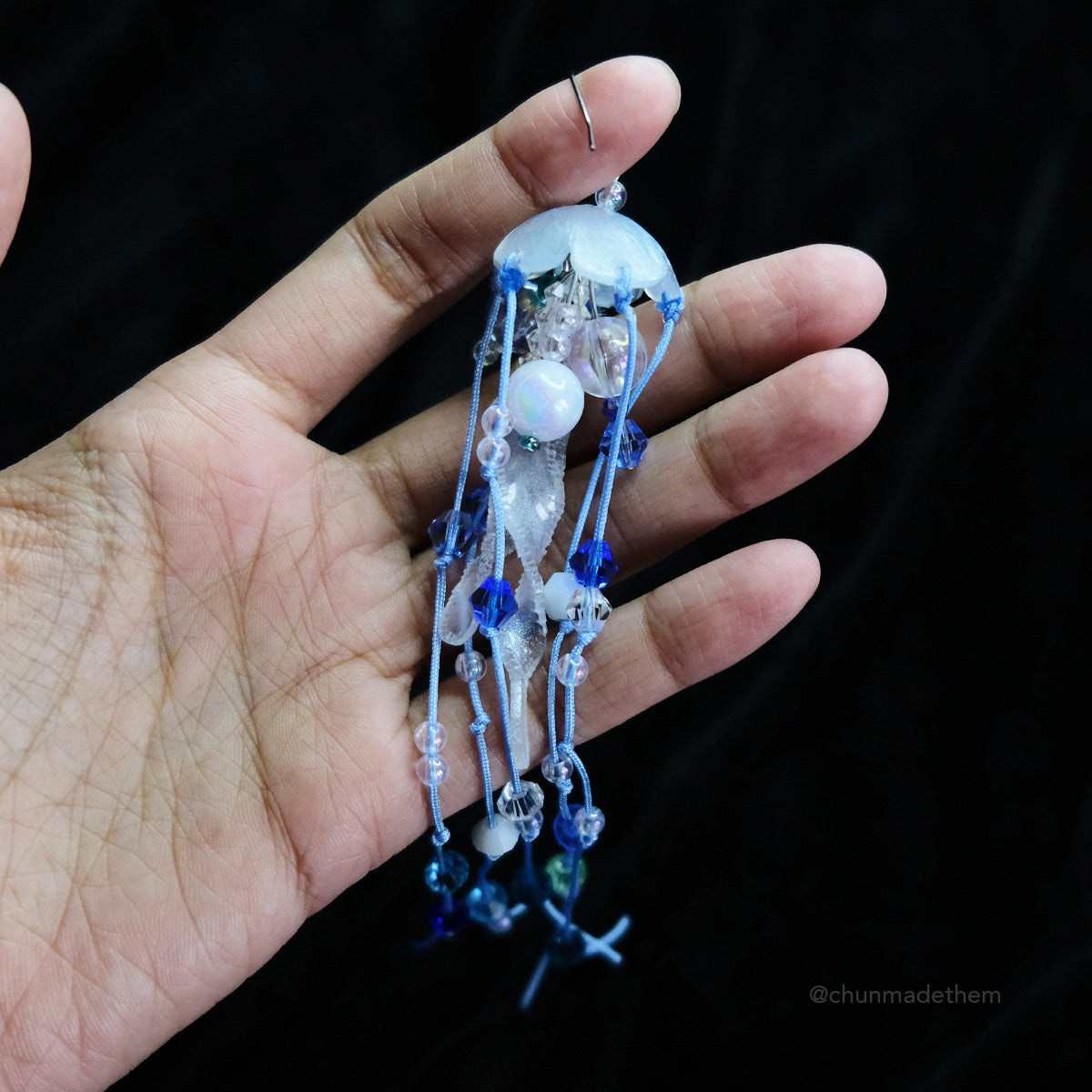 Amakusa Jellyfish