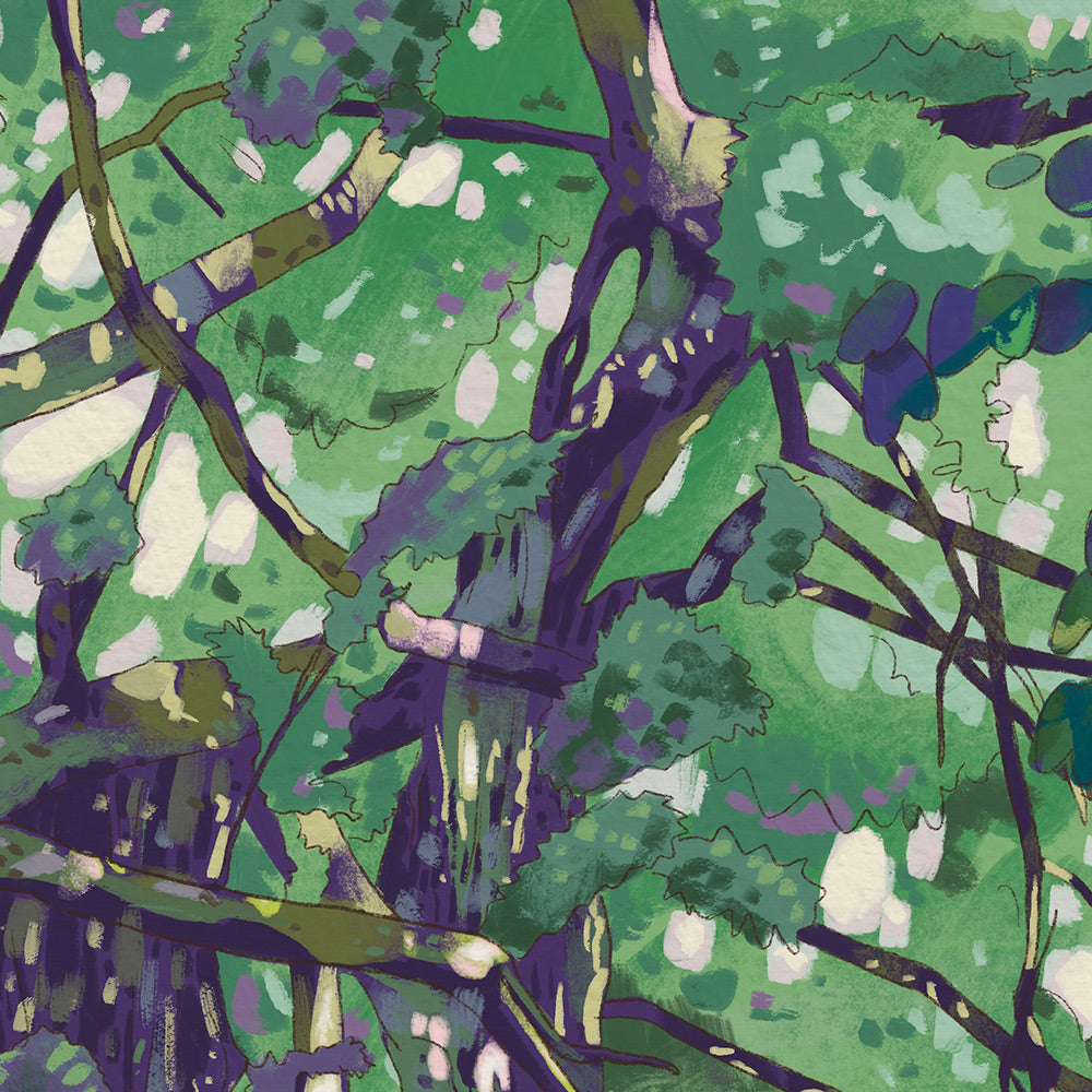 Postcard: I Don't Like Hiking